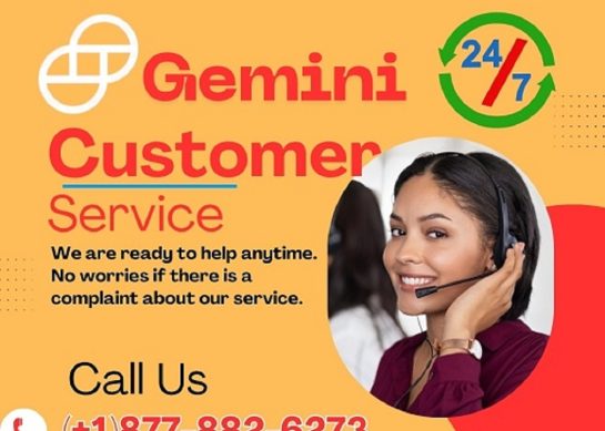 12 ways to know about Gemini Wallet customer desk With complete guidance