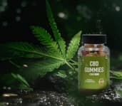 Green Nature Farms CBD Gummies Review: Benefits, Ingredients, and Real Customer Results