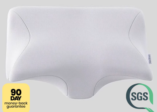 Ergo Z Pillow Reviews Investigated (New Medical Report) OFFICIAL ONLINE STORE