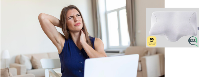 Ergo Z Pillow Reviews