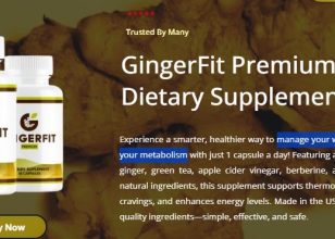 GingerFit Germany Transform Your Body with Smarter Fitness