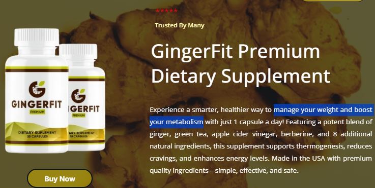 GingerFit Germany Transform Your Body with Smarter Fitness