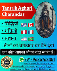 Famous Black Magic Specialist Astrologer +91-9636763351 In Kansas City