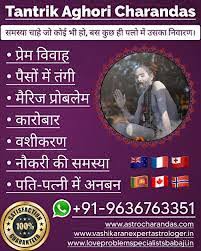 Famous Black Magic Specialist Astrologer +91-9636763351 In Milwaukee