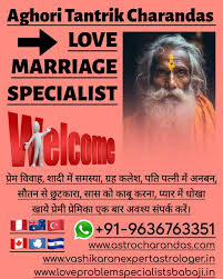 Best Vashikaran Specialist Astrologer +91-9636763351 In Manitoba