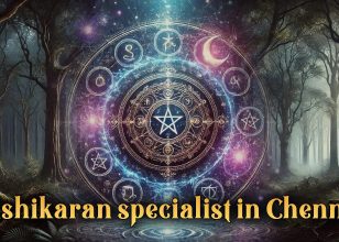 Job & Business Problems Solution +91-9636763351