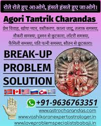 Ex Love Back Astrologer in Toronto +91-9636763351 – CharandasJi